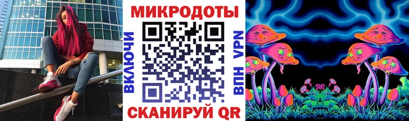 Галлюциногенные грибы Psilocybe  Алатырь 